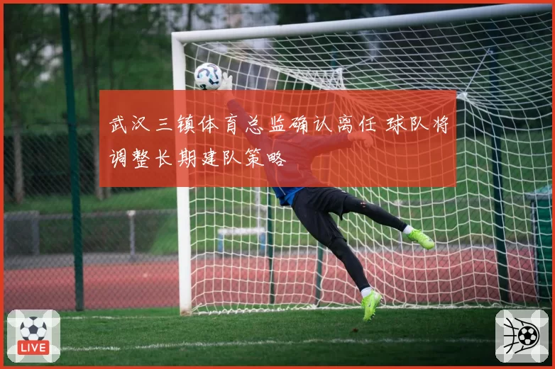 武汉三镇体育总监确认离任 球队将调整长期建队策略